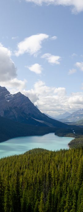 Peyto Lake