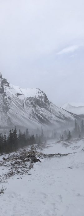 Elbow lake trail