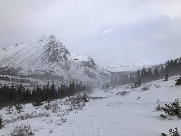 Elbow Lake Trail