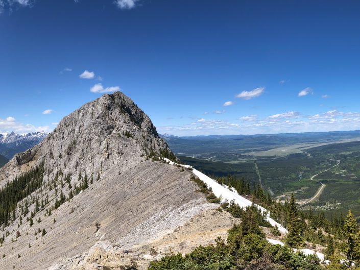 Mt Baldy Trail